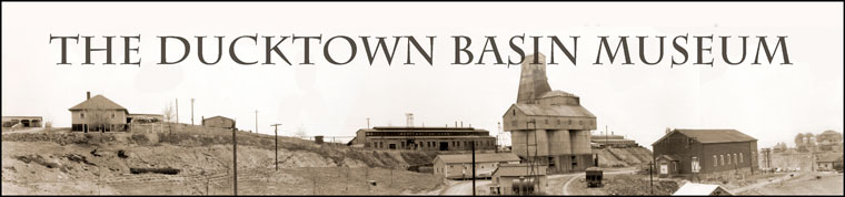The Ducktown Basin Museym